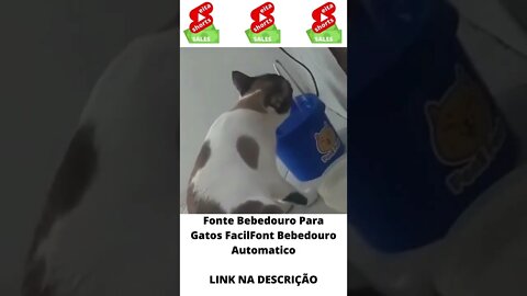 Fonte Bebedouro Para Gatos FacilFont Bebedouro Automatico #shorts