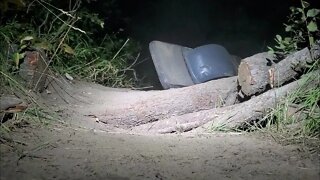 Onewheel GT Trail Night Ride on Kettle River Trail!