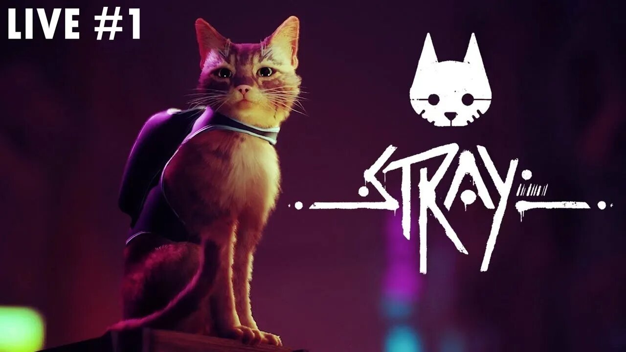 Stray | Cyberpunk Kitty! | Live #1