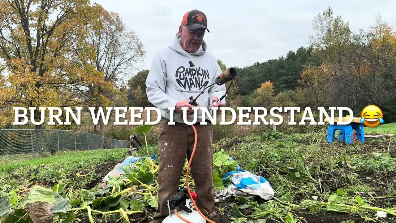 Fall Garden burning the weed 😂 🎃 🍉