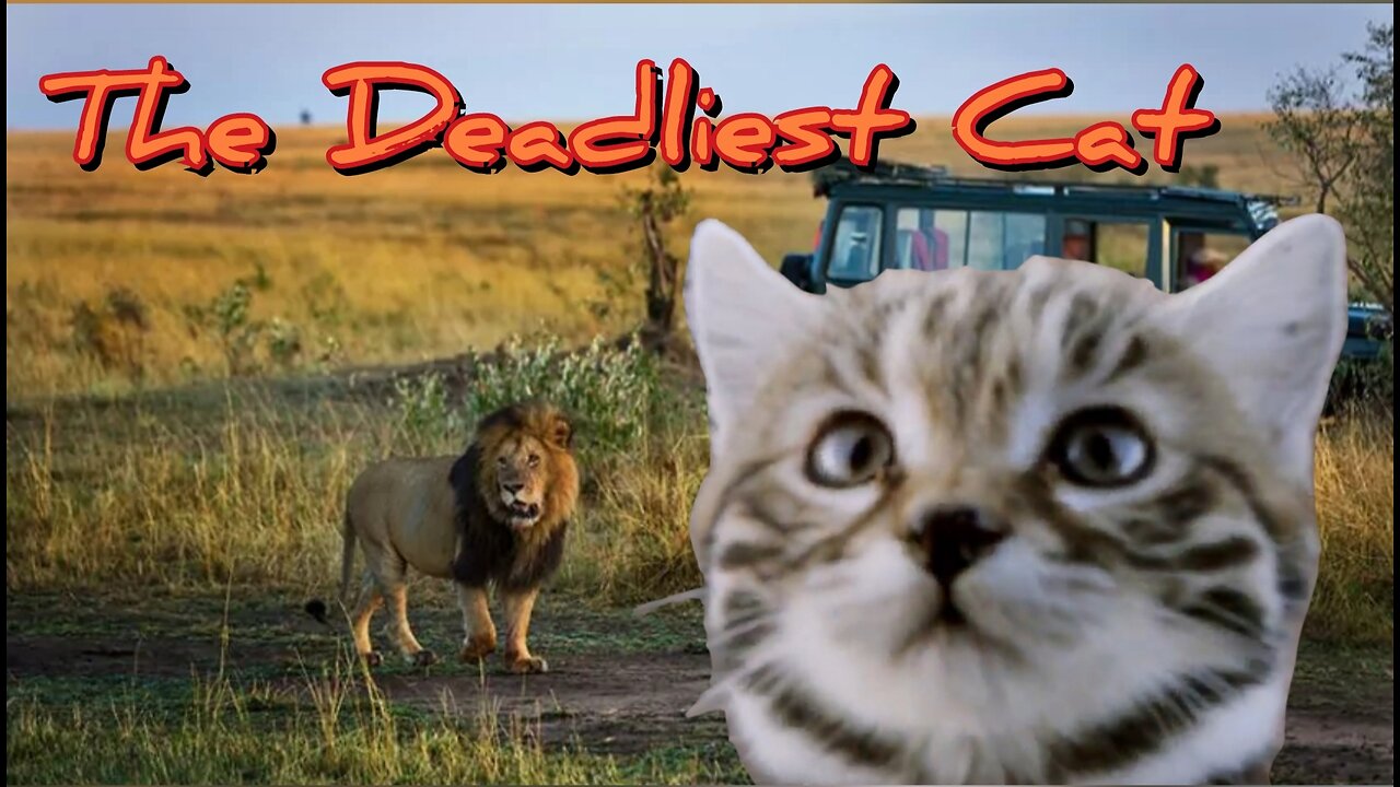 Deadliest Cat In The World