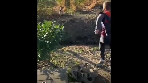 Dog shows no mercy…😏😂🐶💥