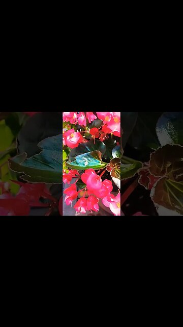 Lilbaby did it again.