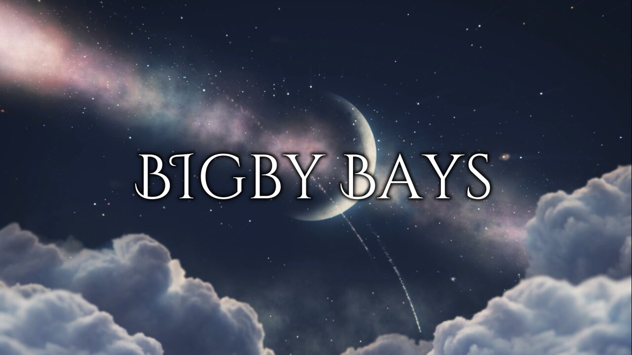 Bigby Bays - The Police