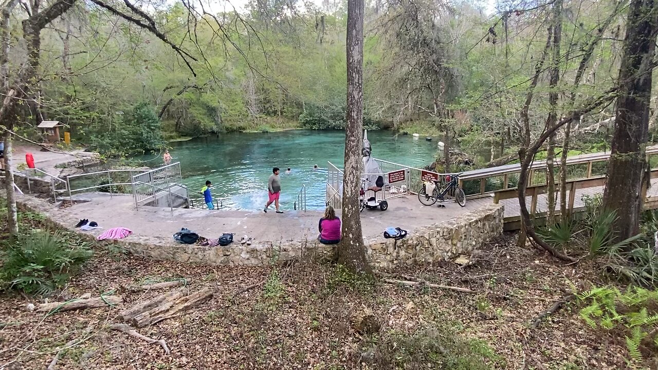 Ichetucknee State Forest: North Entrance