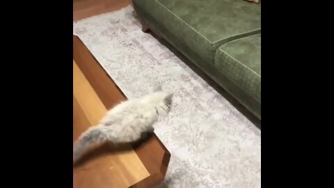 #SHORT #SUBSCRIBE #PLEASE