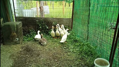 Some new family Members 29th January 2022