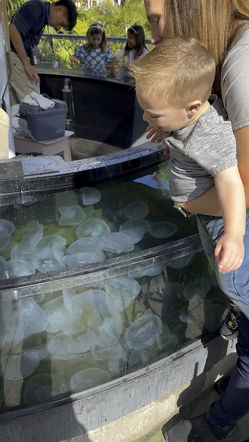 Baby Says “Nnooooooo” to touching Jelly Fish.