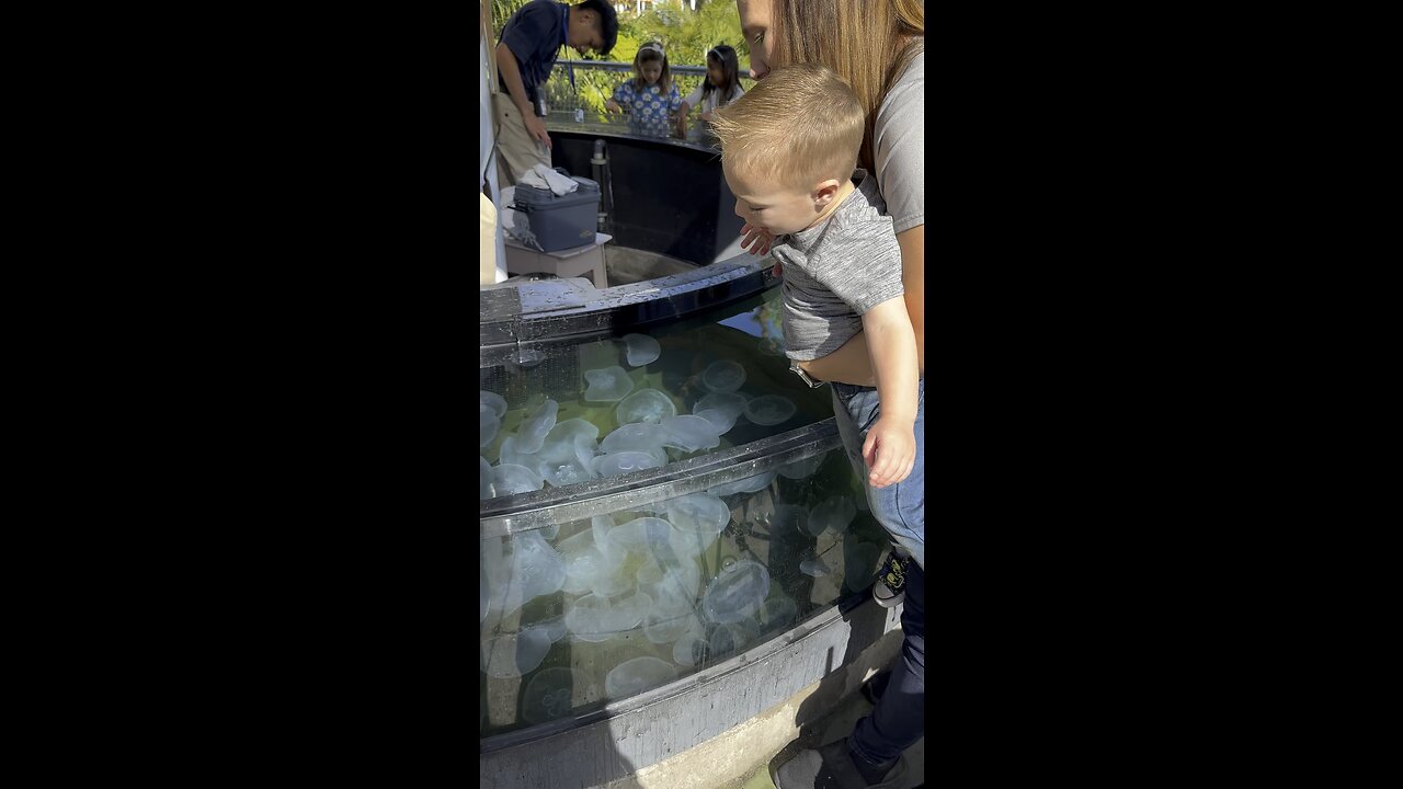 Baby Says “Nnooooooo” to touching Jelly Fish.