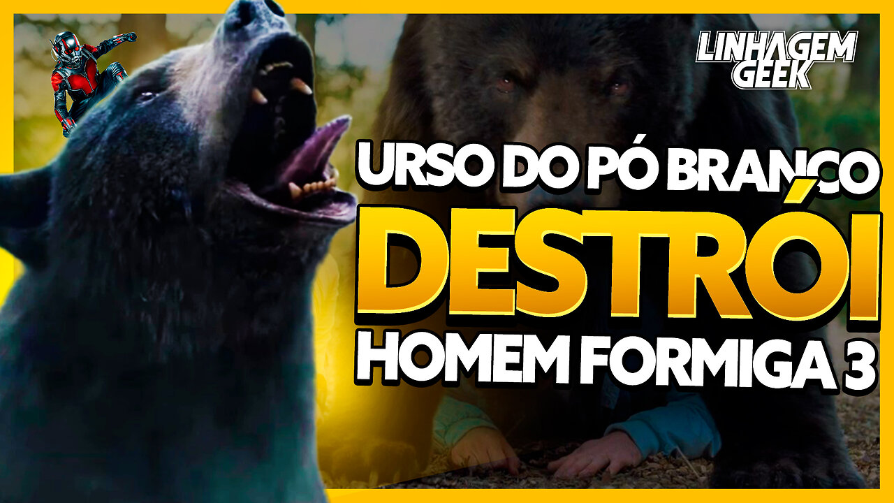 URSO DO PÓ BRANCO SUPERA HOMEM FORMIGA 3 NAS BILHETERIAS!