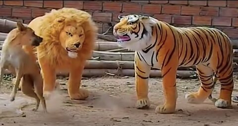 Funny Dog Videos Dog Prank Fake Lion Fake Tiger Prank