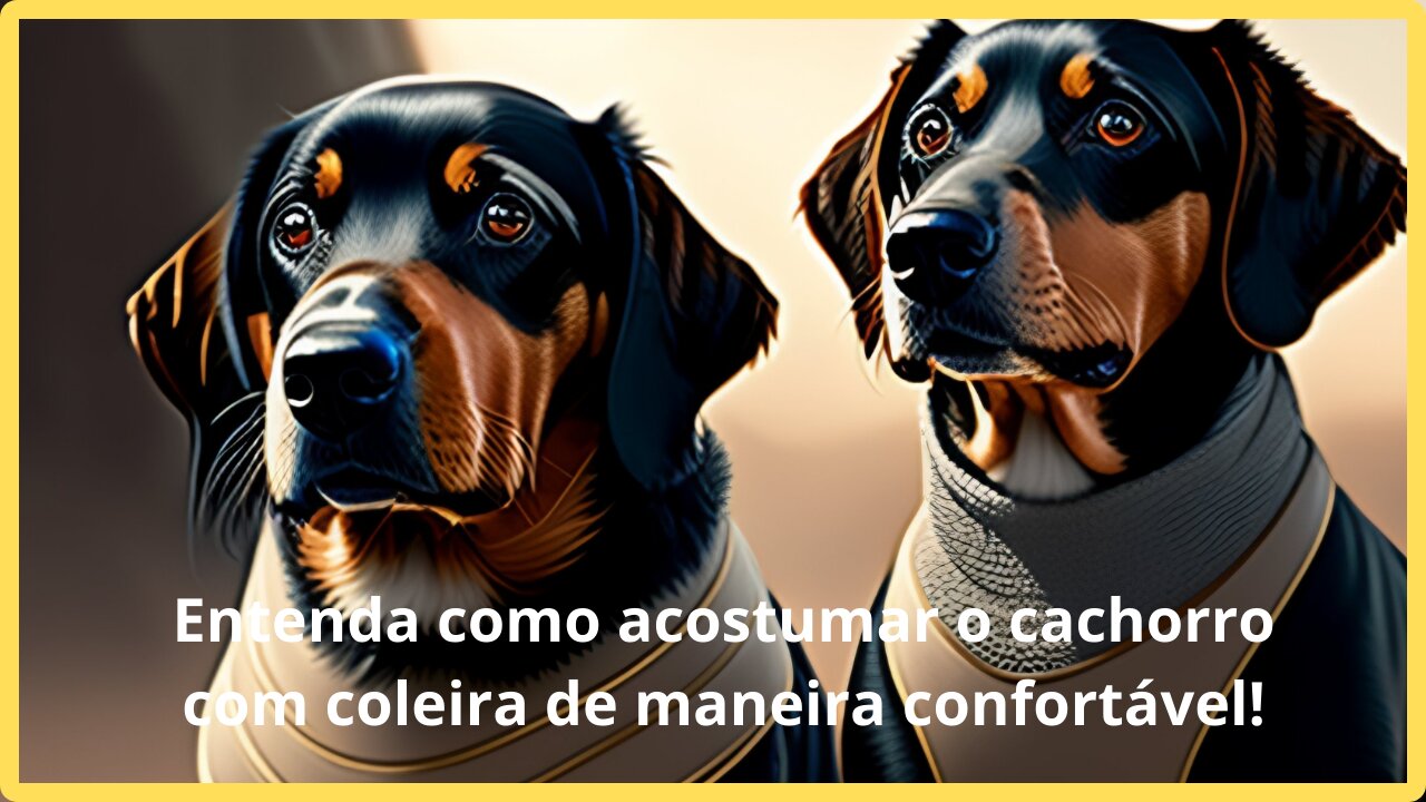 Entenda como acostumar o cachorro com coleira de maneira confortável!