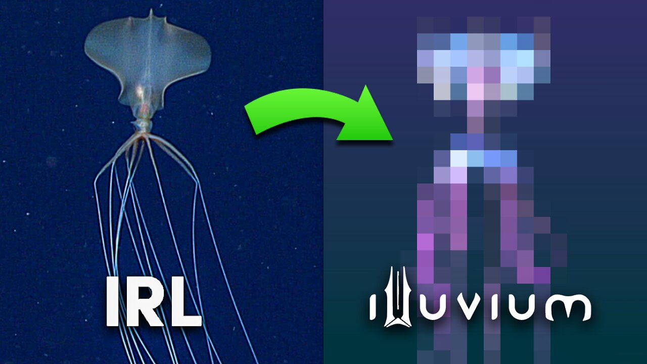 They Put The Bigfin Squid In Illuvium?!