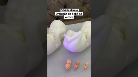 Evolução do bebê no ventre