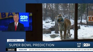 Check This Out: Tiger predicts the Super Bowl winner