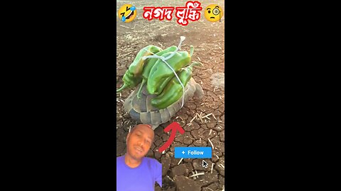 দেখুন কচ্ছপ 🐢 দিয়ে কি বানাইতেছে 🤣🤣🧐🤣