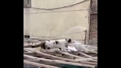 Unexpected ending! 💕😂😂