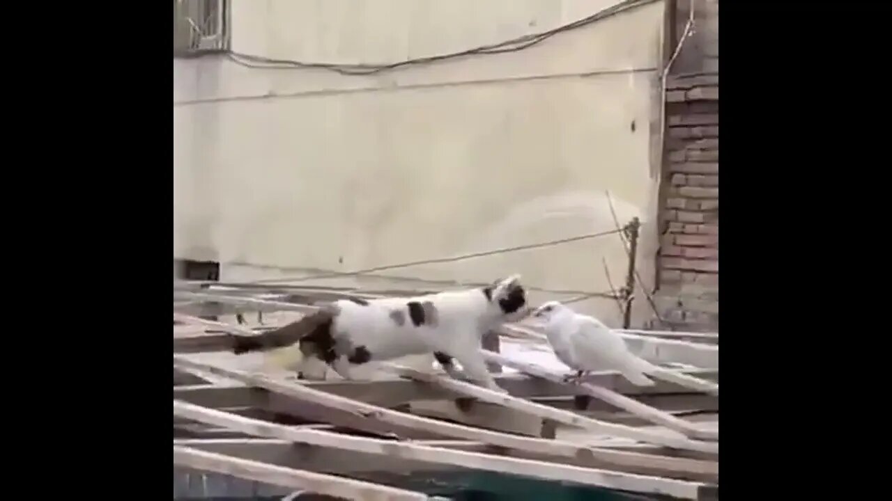 Unexpected ending! 💕😂😂