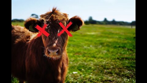 The Strange Connection Between UAPs & Dead Cattle