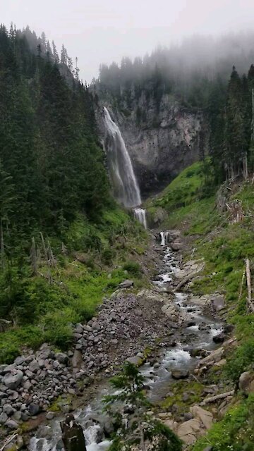 Comic falls at Mt. Rainier