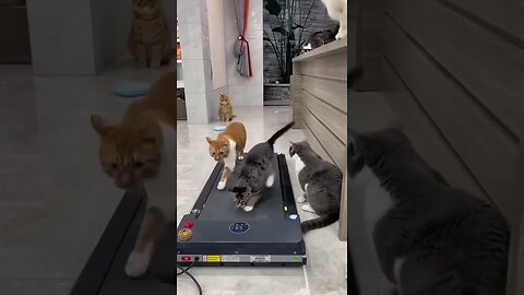 They think they are going somewhere