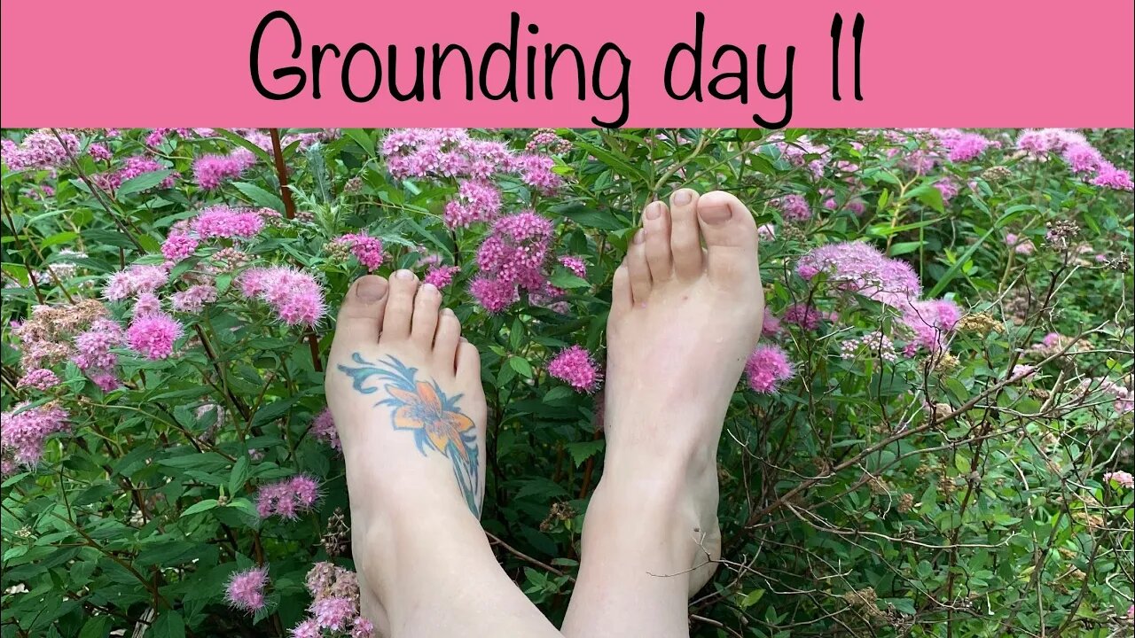 Grounding day 11 - beautiful pink flowers 🌸