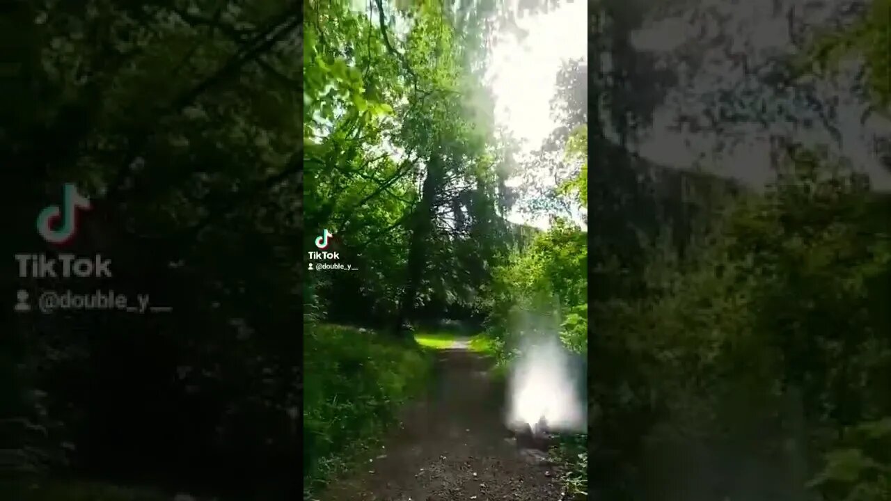 Walking ASMR #walk #ireland #asmr #nature #landscape