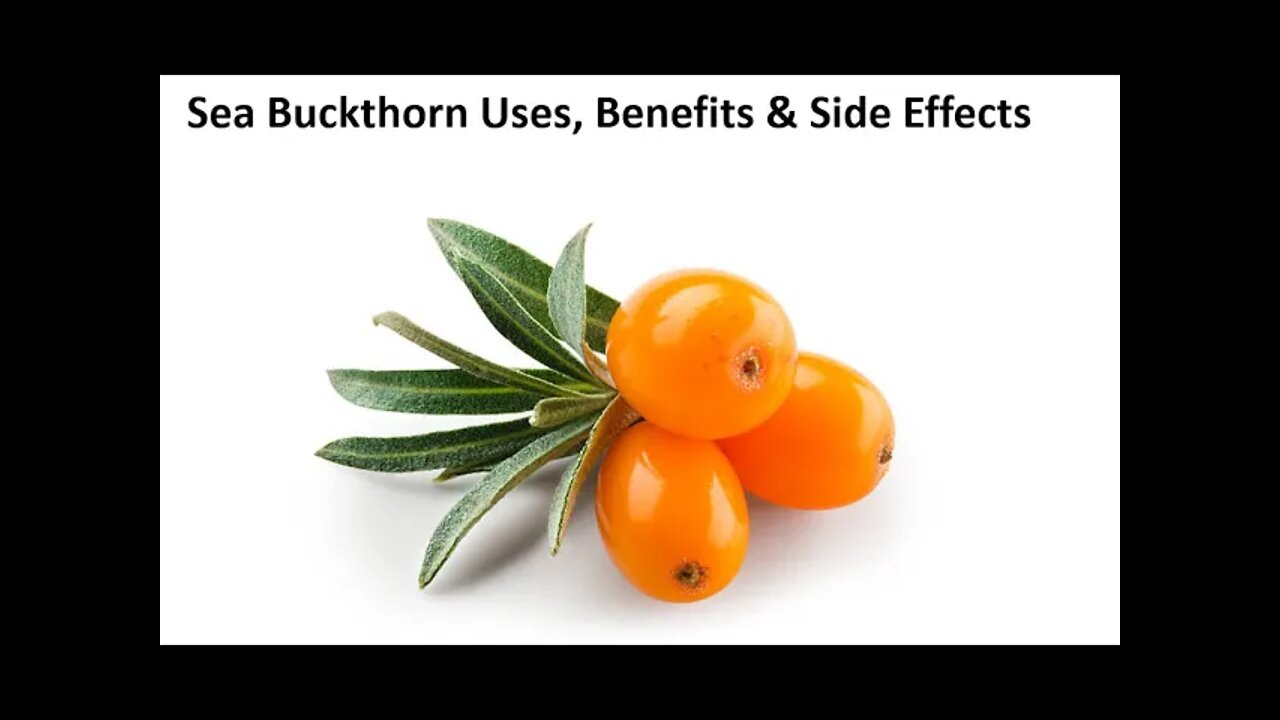 Sea Buckthorn - Benefits, Uses & Side Effects