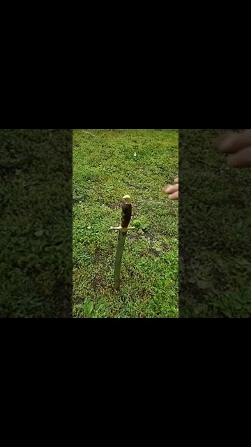 What Is The Best Sword For EDC?