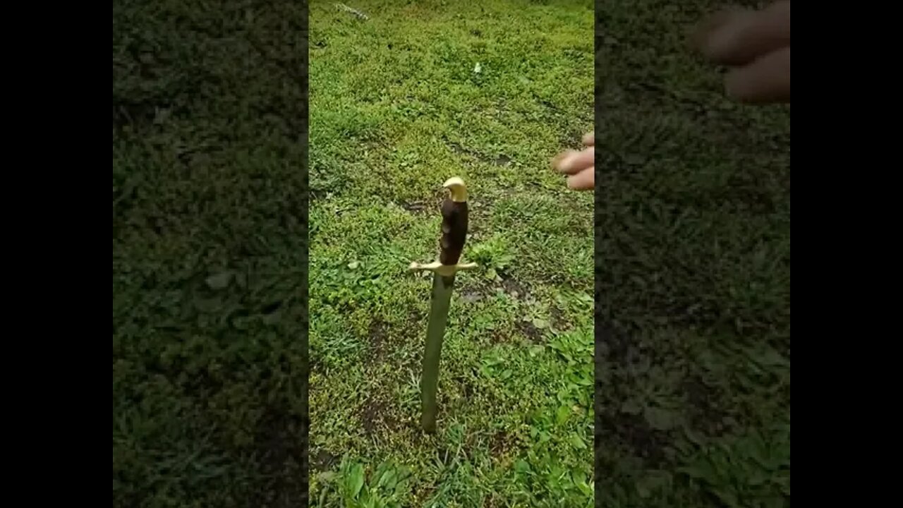 What Is The Best Sword For EDC?