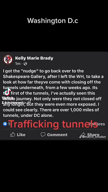 Fall of Cabal Washington DC