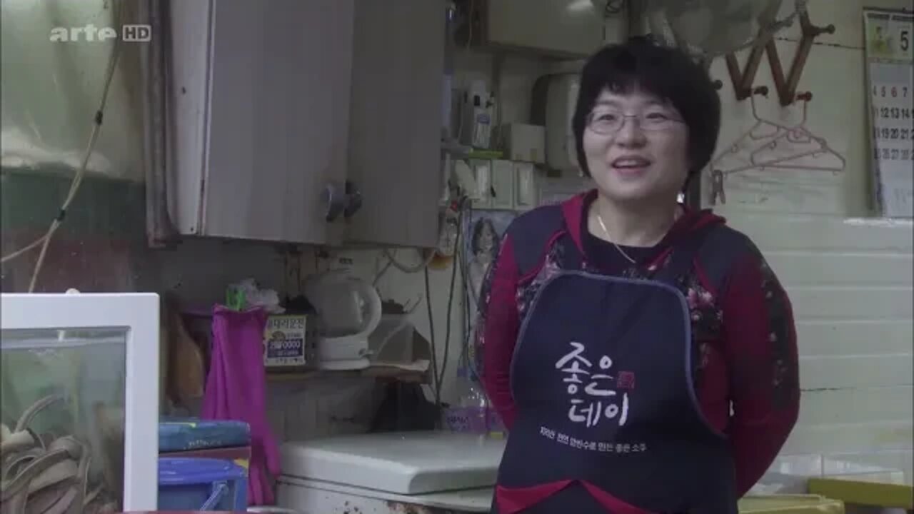 Doku Südkorea – Das Land der vielen Wunder: Ein Wirtschaftswunder 5/5