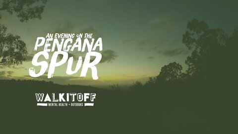 An Evening on the Pengana Spur
