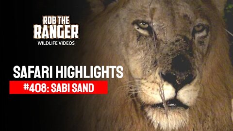 Safari Highlights #408: 11 - 14 May 2016 | Sabi Sand Wildtuin | Latest Wildlife Sightings