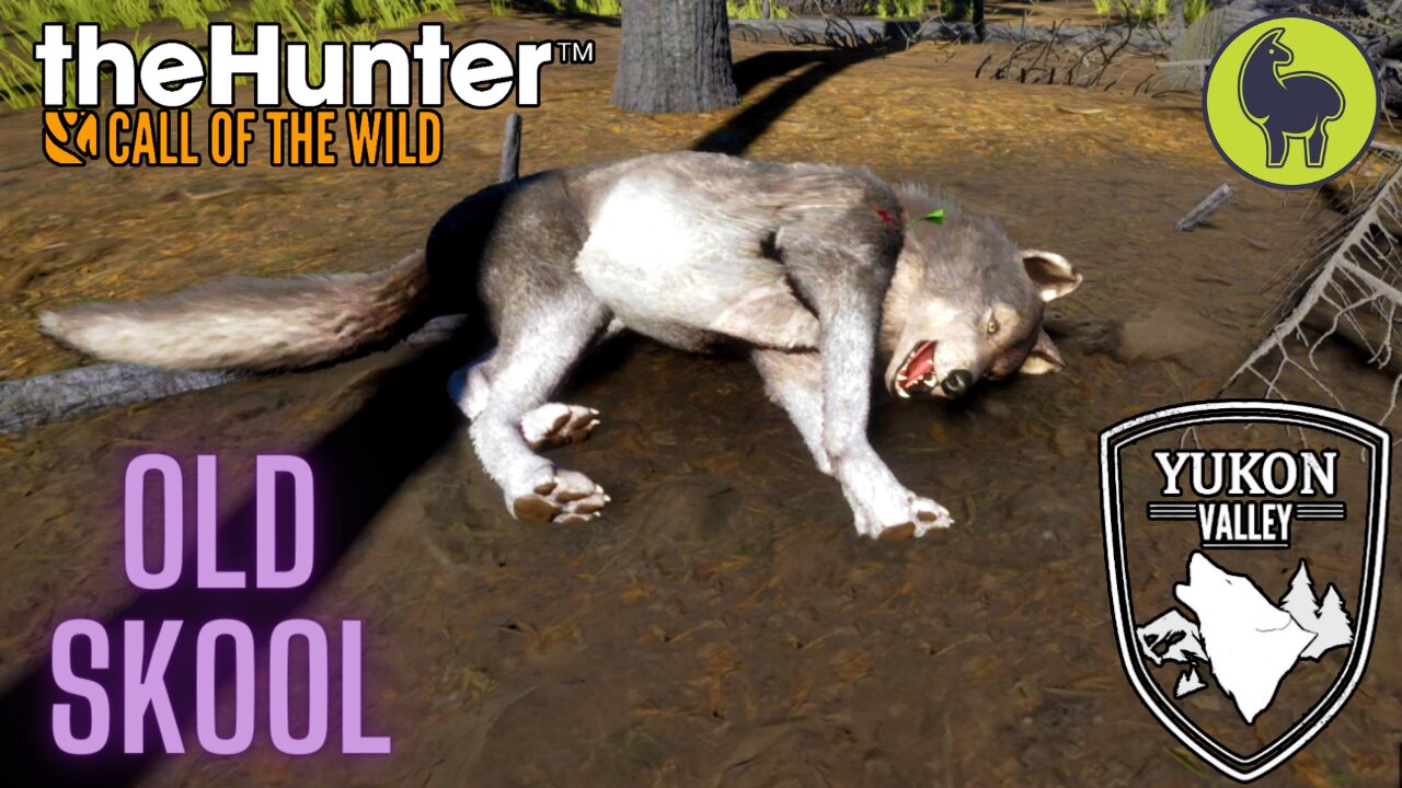 Old Skool, Yukon Valley | theHunter: Call of the Wild (PS5 4K)