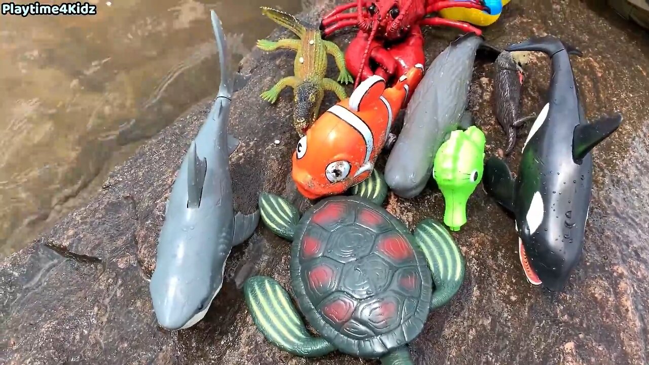 Sea Animal Toys This Summer At The Shore