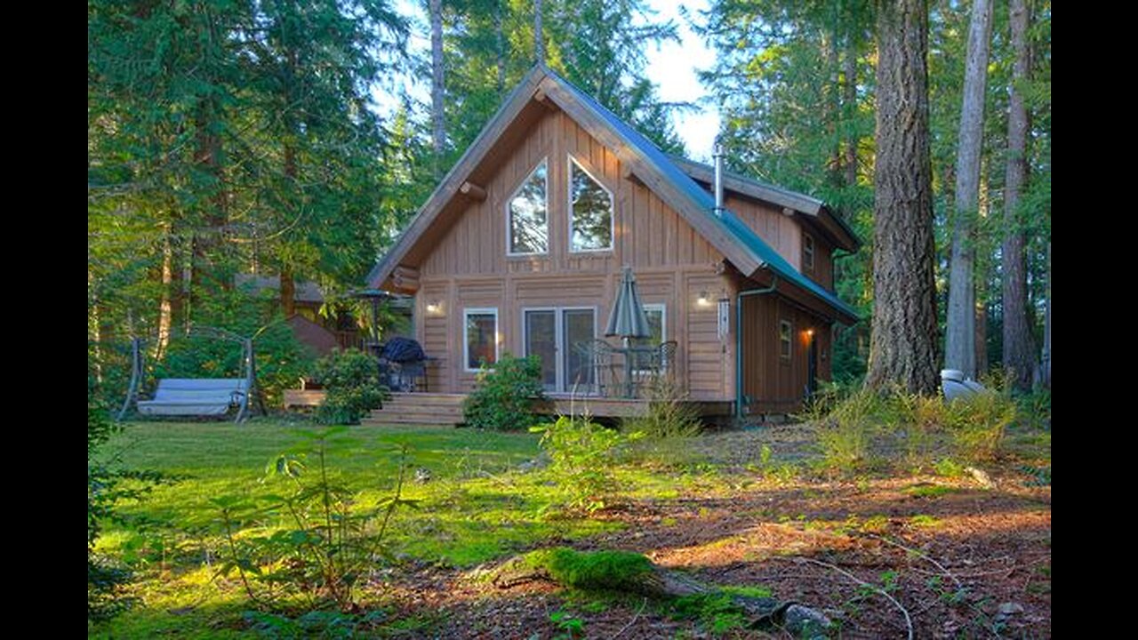 Building house in Forest