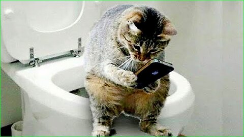 Funniest Animals 2023 😂 Funny Cats and Dogs Videos 😺🐶