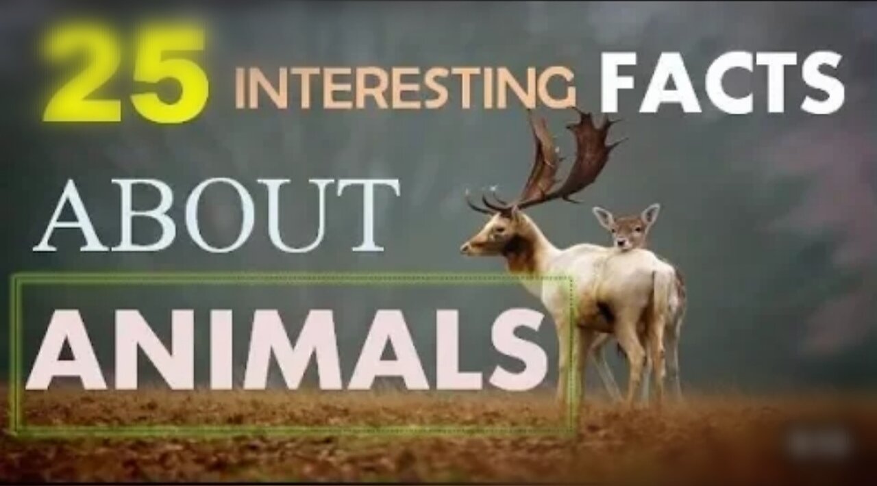 Top 25 Shocking facts about animals | You Must know