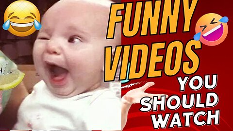 cute funny videos you must watch