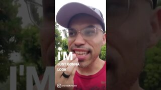 What is a Strawberry Tree?