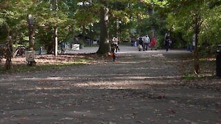 There's one more weekend to trick-or-treat at Potter Park Zoo