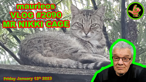 maurieos VLOG #2090 MR NIKKI CAGE