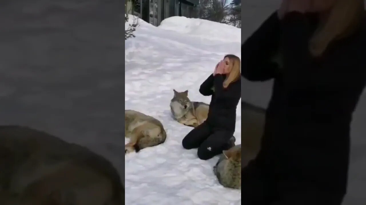 woman with wolfs