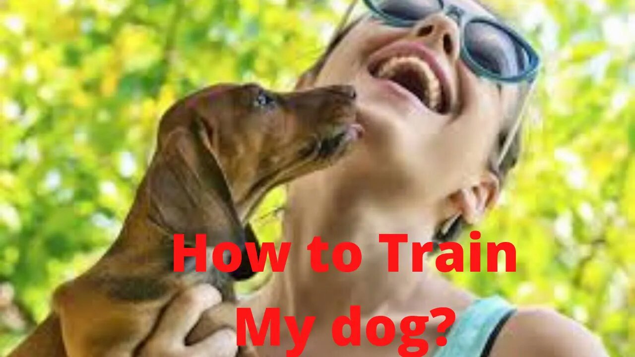 How to train your dog🐕🐶 #dog, #training ,#trending