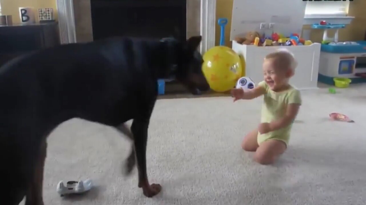 Cute Babies Playing With Dogs Compilation | Funny Baby And Pets new funny videos Big Dog and Baby