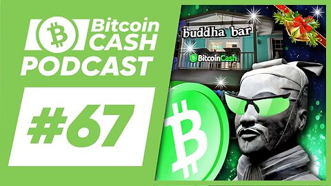 The Bitcoin Cash Podcast #67： State of the Revolution 2022 feat. Kallisti & Ryan Giffin