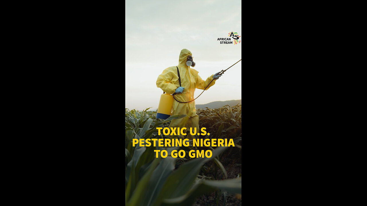 TOXIC U.S. PESTERING NIGERIA TO GO GMO