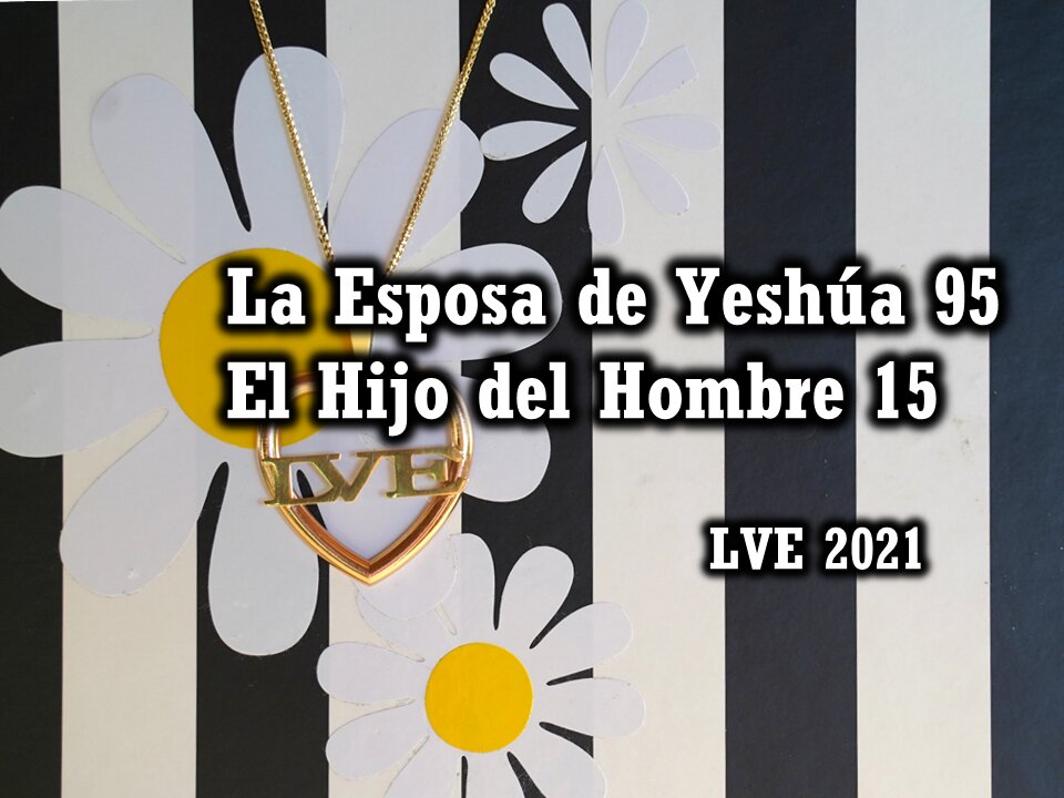 La Esposa de Yeshúa 95 - El Hijo del hombre 15