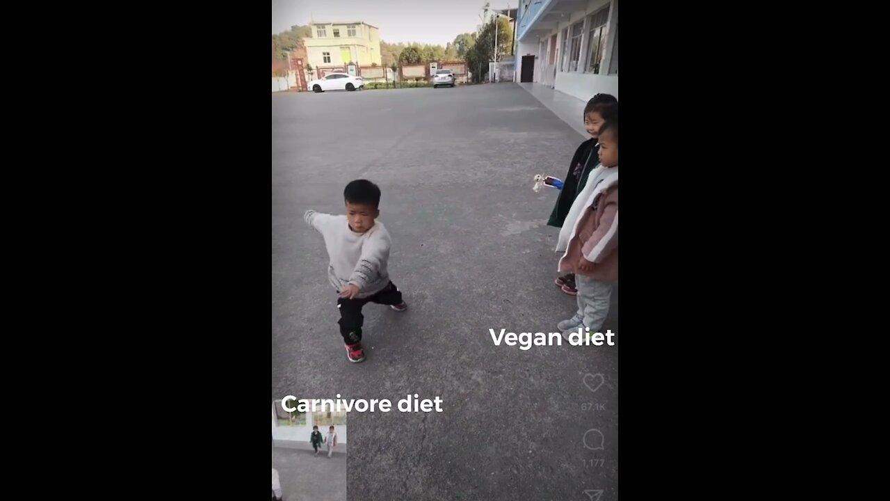 Carnivore diet